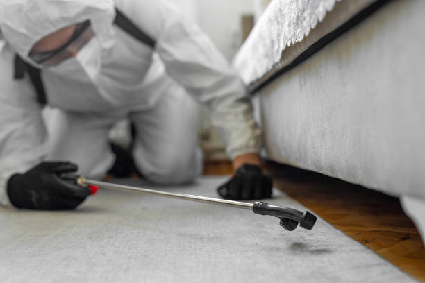 Professional Termite Control technician working in Cowley County County, KS
